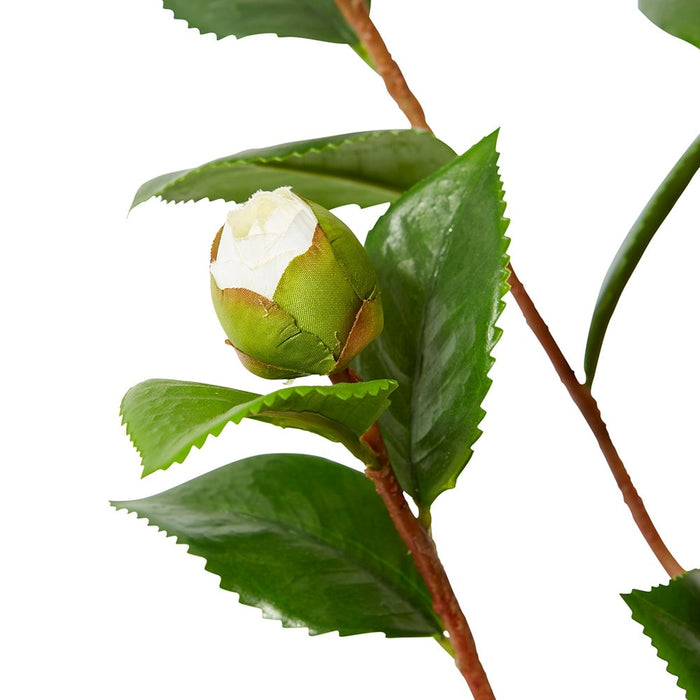 Camellia Bud Spray Pack Of 12 - White/Green, 66cm (H)