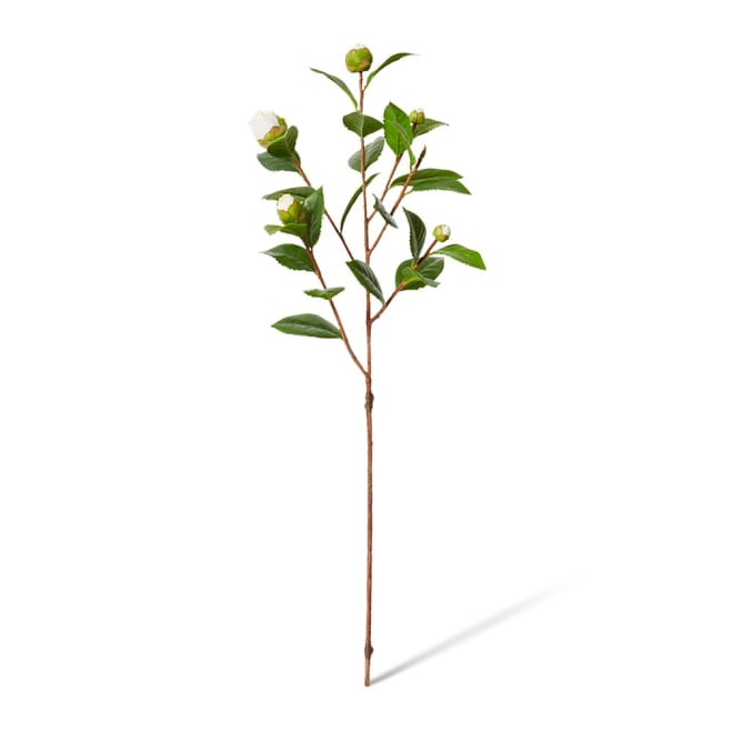 Camellia Bud Spray Pack Of 12 - White/Green, 66cm (H)