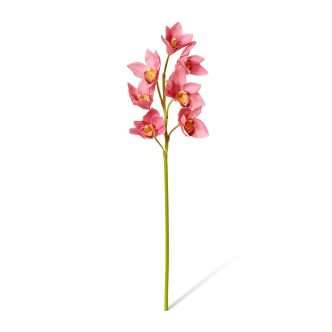 Cymbidium Lush Stem Pack Of 12 - Mauve, 58cm (H)