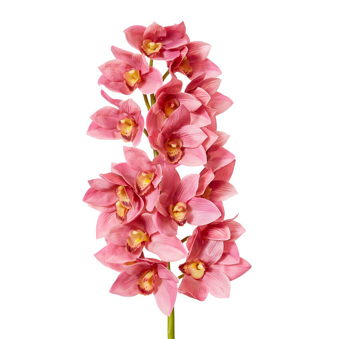 Cymbidium Lush Stem Pack Of 12 - Mauve, 112cm (H)