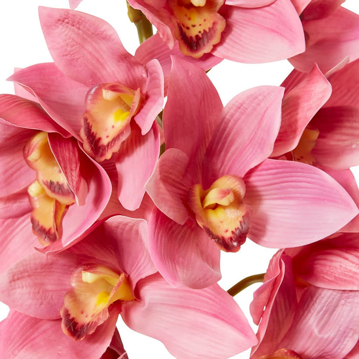Cymbidium Lush Stem Pack Of 12 - Mauve, 112cm (H)