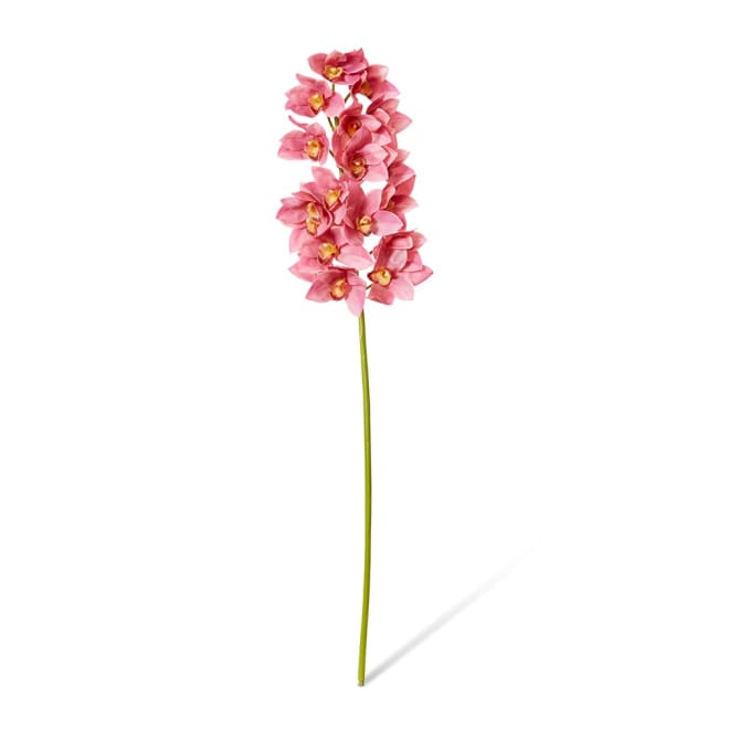 Cymbidium Lush Stem Pack Of 12 - Mauve, 112cm (H)