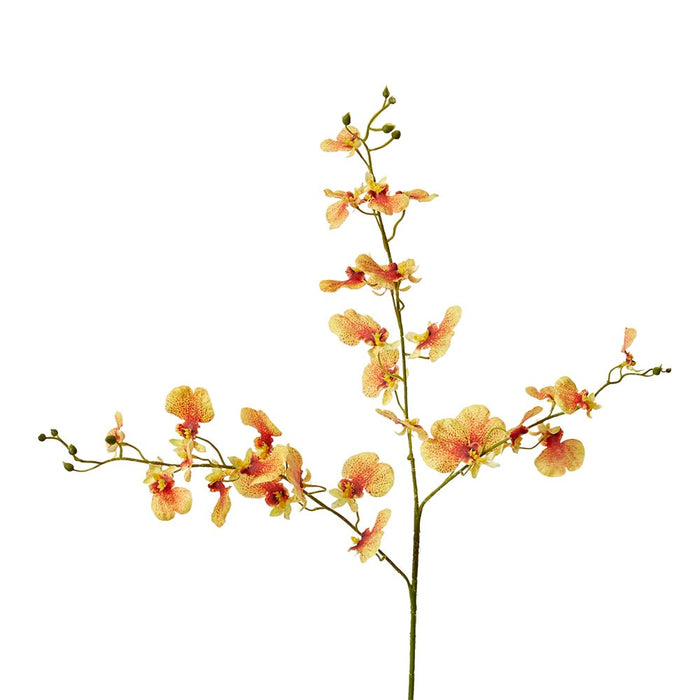 Dancing Orchid Spray (RT) Pack of 12 - Orange, 97cm (H)