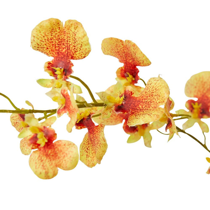 Dancing Orchid Spray (RT) Pack of 12 - Orange, 97cm (H)