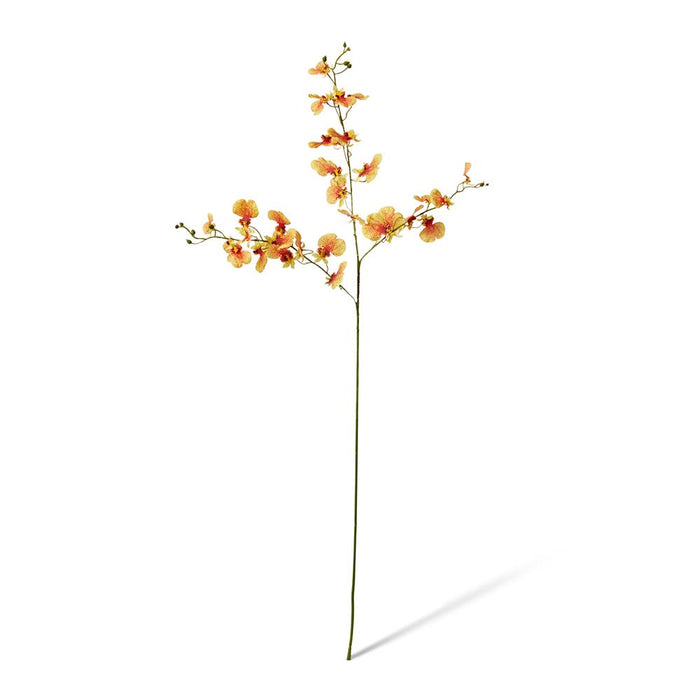 Dancing Orchid Spray (RT) Pack of 12 - Orange, 97cm (H)