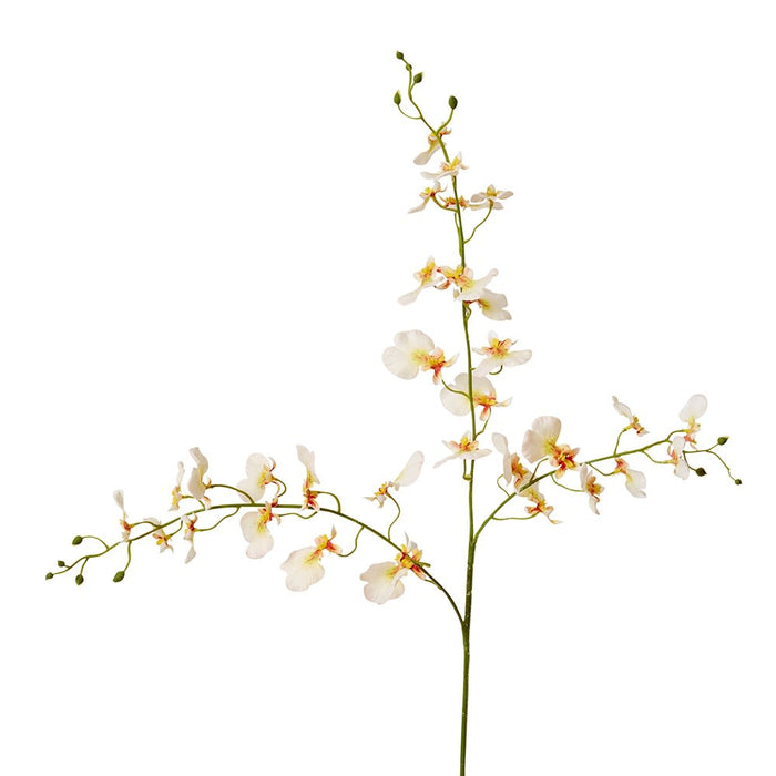 Dancing Orchid Spray (RT) Pack of 12 - Peach, 97cm (H)
