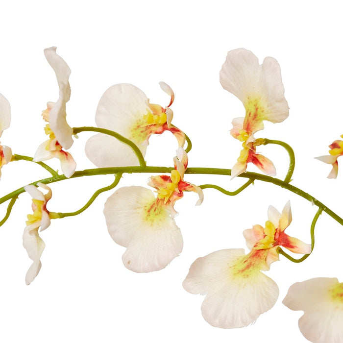 Dancing Orchid Spray (RT) Pack of 12 - Peach, 97cm (H)