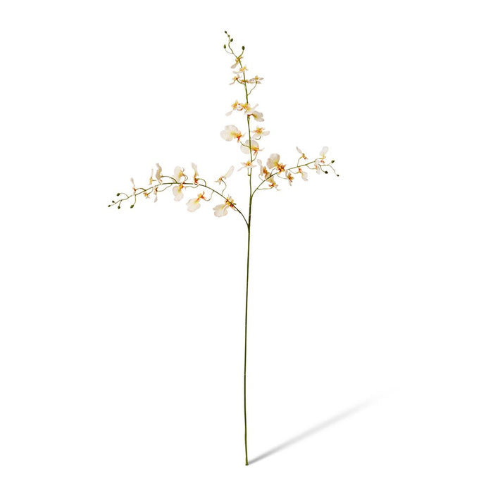 Dancing Orchid Spray (RT) Pack of 12 - Peach, 97cm (H)
