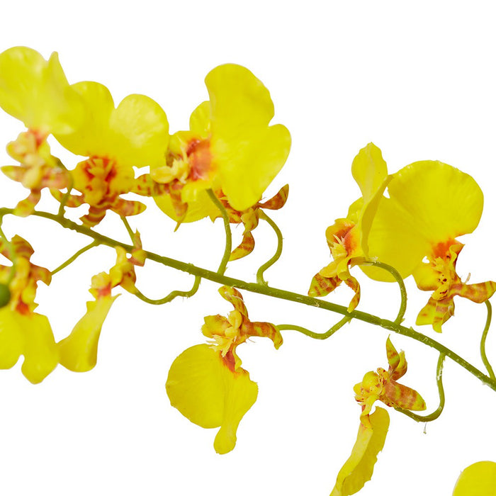 Dancing Orchid Spray (RT) Pack of 12 - Yellow, 97cm (H)