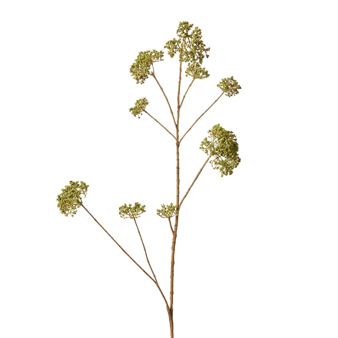 Skimmia Spray Pack Of 12 - Green, 104cm (H)