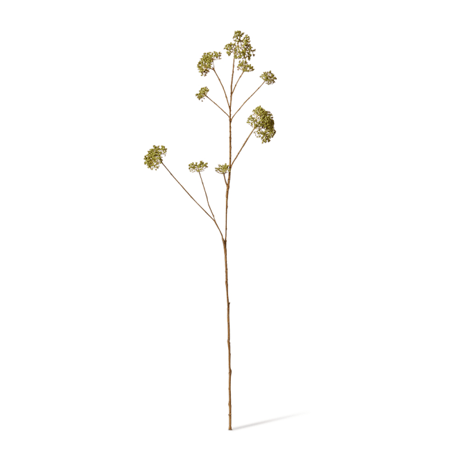 Skimmia Spray Pack Of 12 - Green, 104cm (H)