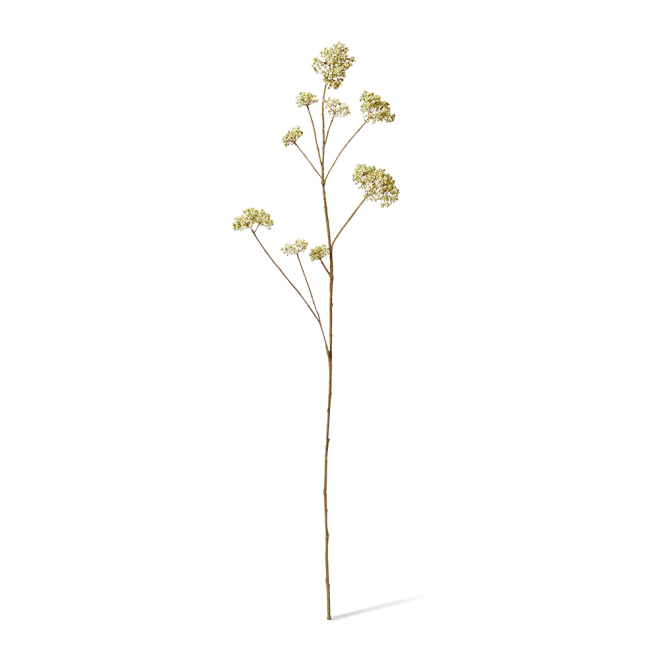 Skimmia Spray Pack Of 12 - White, 104cm (H)