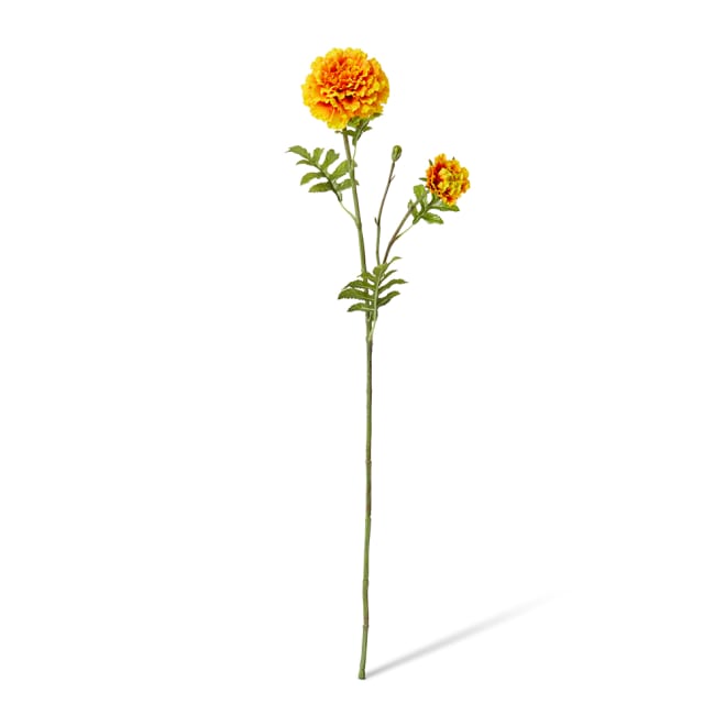 Marigold Spray Pack Of 12 - Orange, 64cm (H)