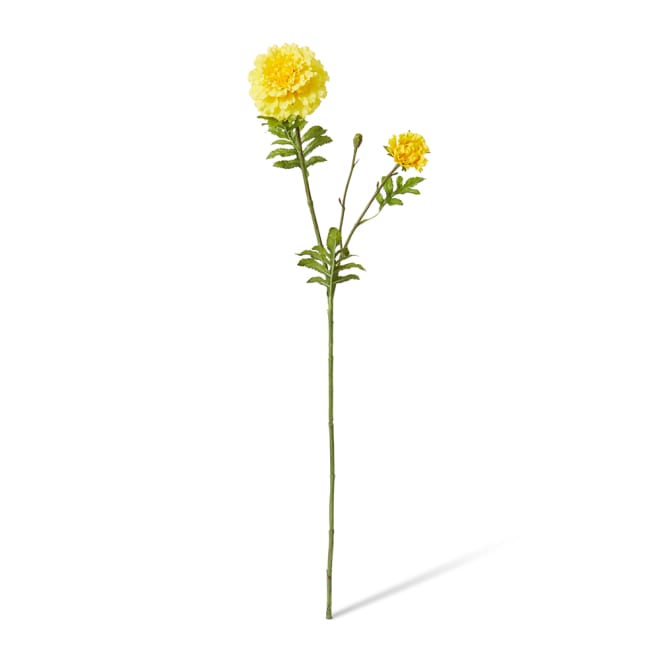 Marigold Spray Pack Of 12 - Yellow, 64cm (H)