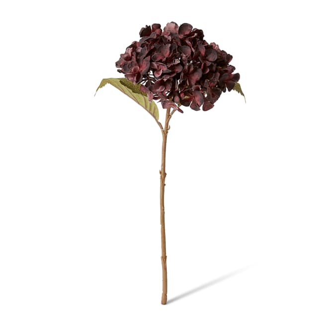 Hydrangea Rapture Stem Pack Of 12 - Dusty Burgundy, 47cm (H)