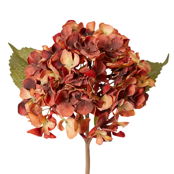 Hydrangea Rapture Stem Pack Of 12 - Dusty Red, 47cm (H)