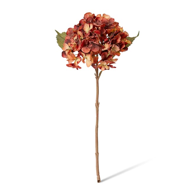 Hydrangea Rapture Stem Pack Of 12 - Dusty Red, 47cm (H)