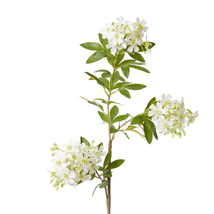 Lace Flower Stem Pack Of 12 - White, 100cm (H)