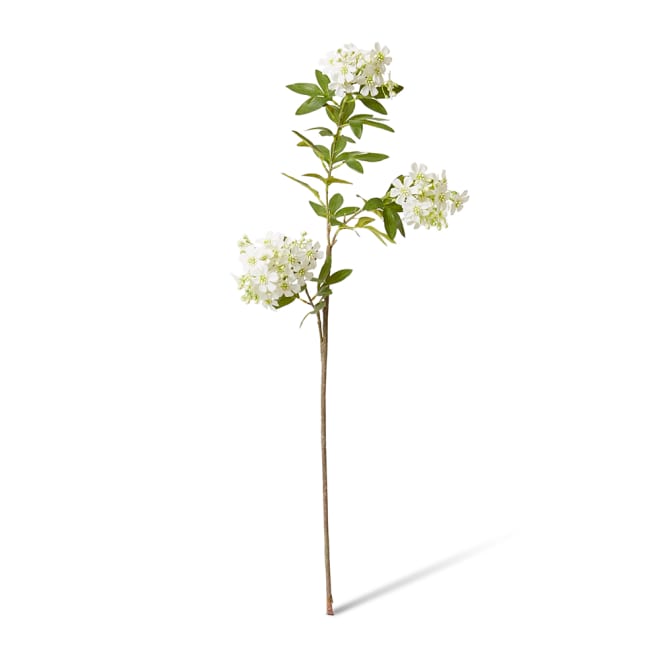 Lace Flower Stem Pack Of 12 - White, 100cm (H)