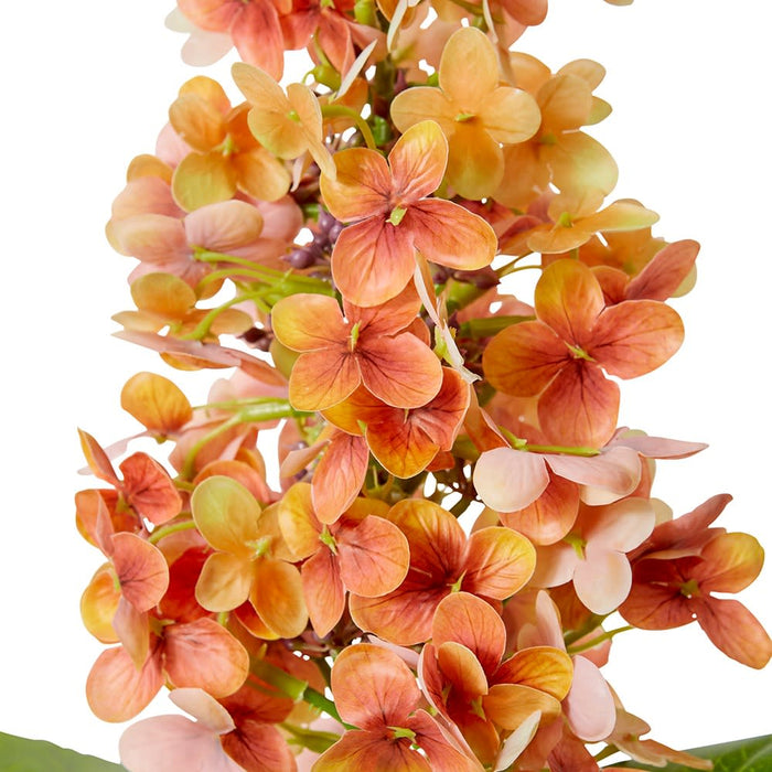 Cone Hydrangea (RT) Pack of 12 - Orange, 75cm (H)