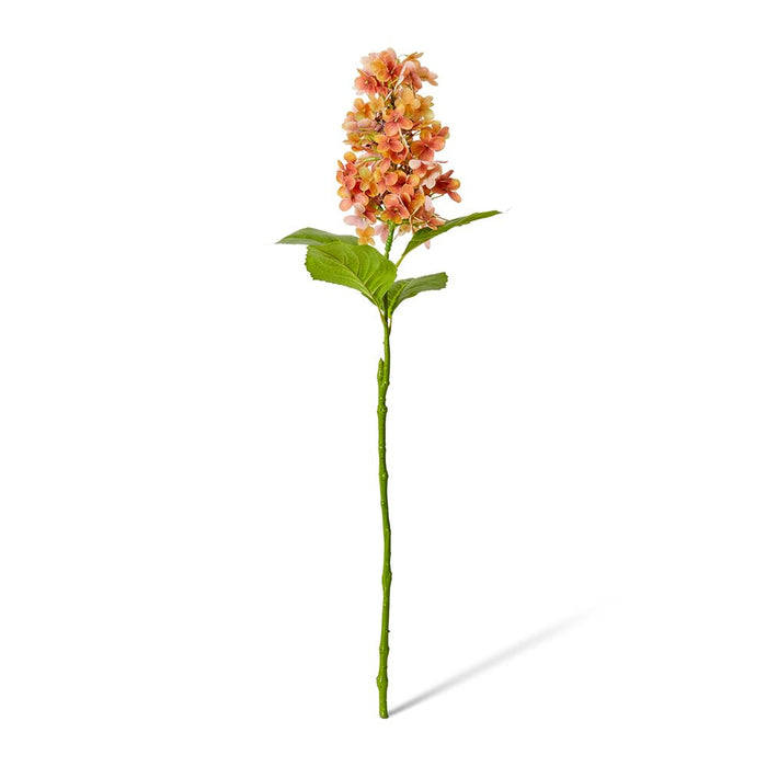 Cone Hydrangea (RT) Pack of 12 - Orange, 75cm (H)