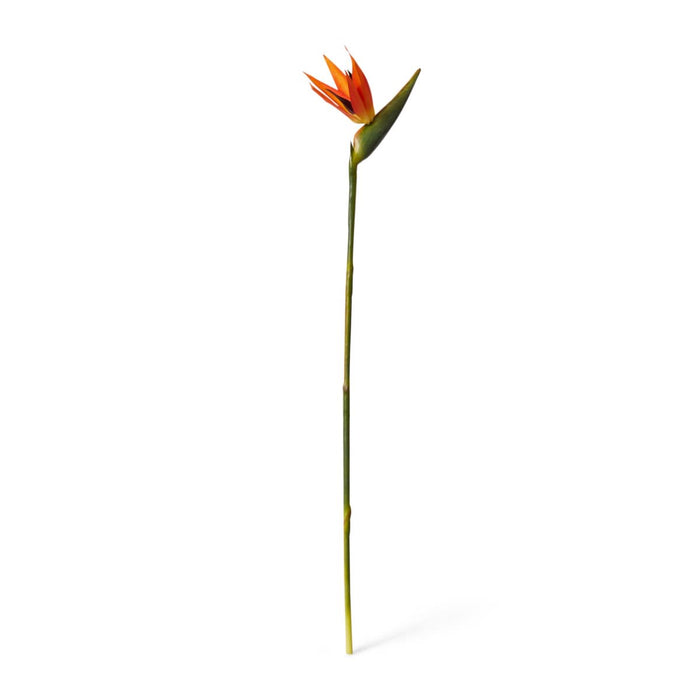 Bird of Paradise Stem Pack of 12 - Orange/Green, 100cm (H)