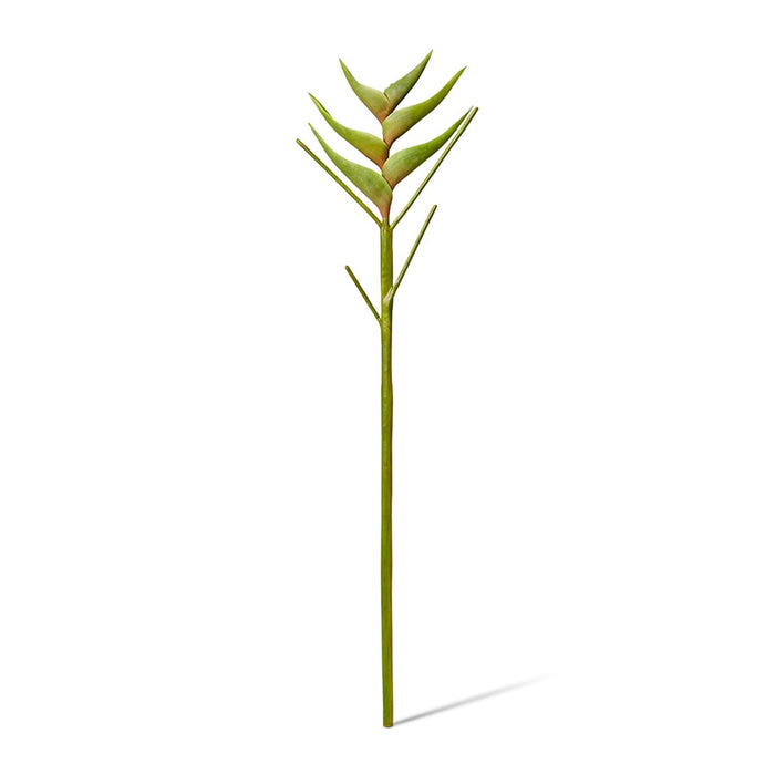 Heliconia Stem Pack of 12 - Green, 86cm (H)