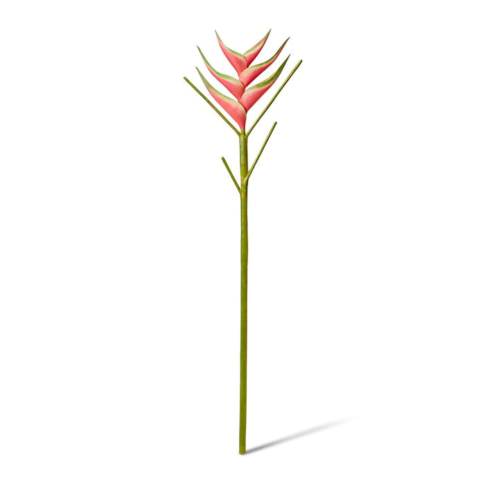 Heliconia Stem Pack of 12 - Green/Red, 86cm (H)