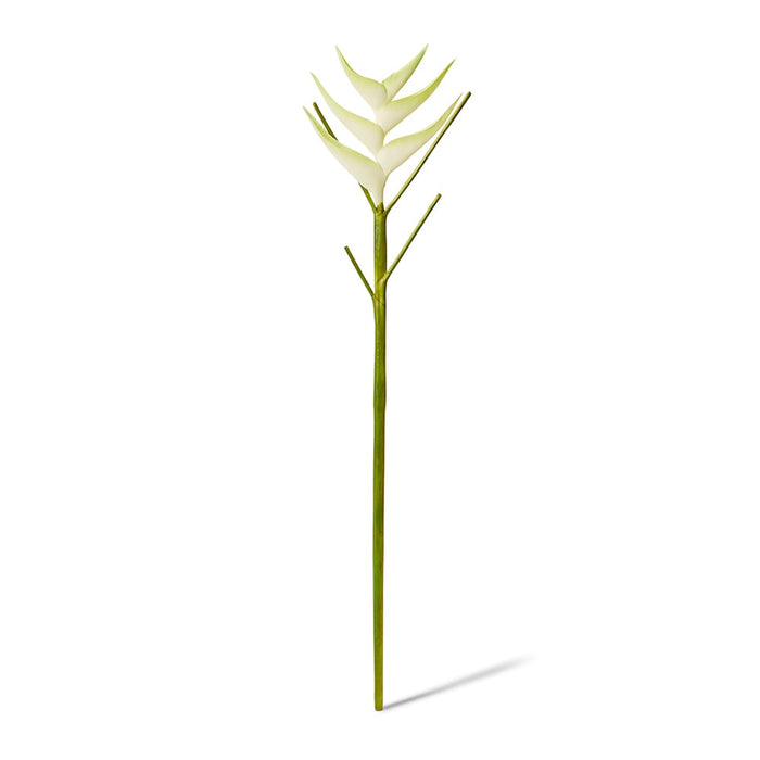 Heliconia Stem Pack of 12 - White/Green, 86cm (H)