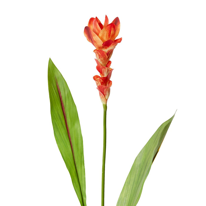 Ginger Flower Spray Pack of 12 - Orange, 84cm (H)
