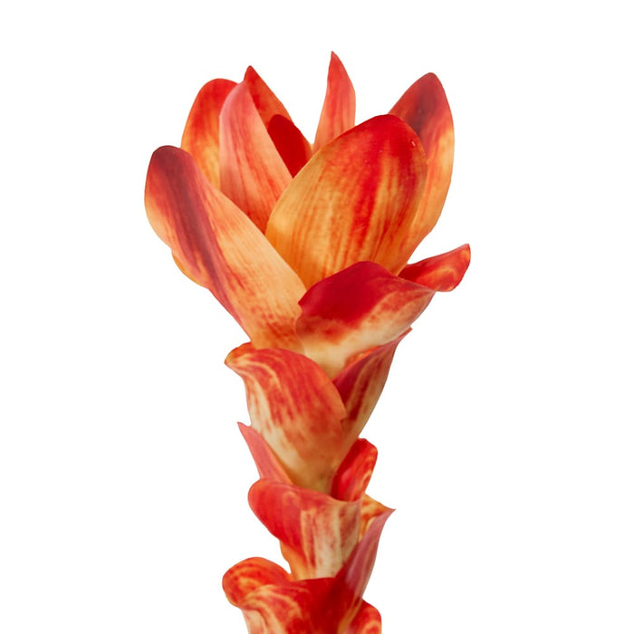 Ginger Flower Spray Pack of 12 - Orange, 84cm (H)