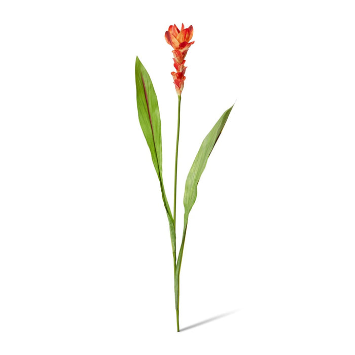 Ginger Flower Spray Pack of 12 - Orange, 84cm (H)