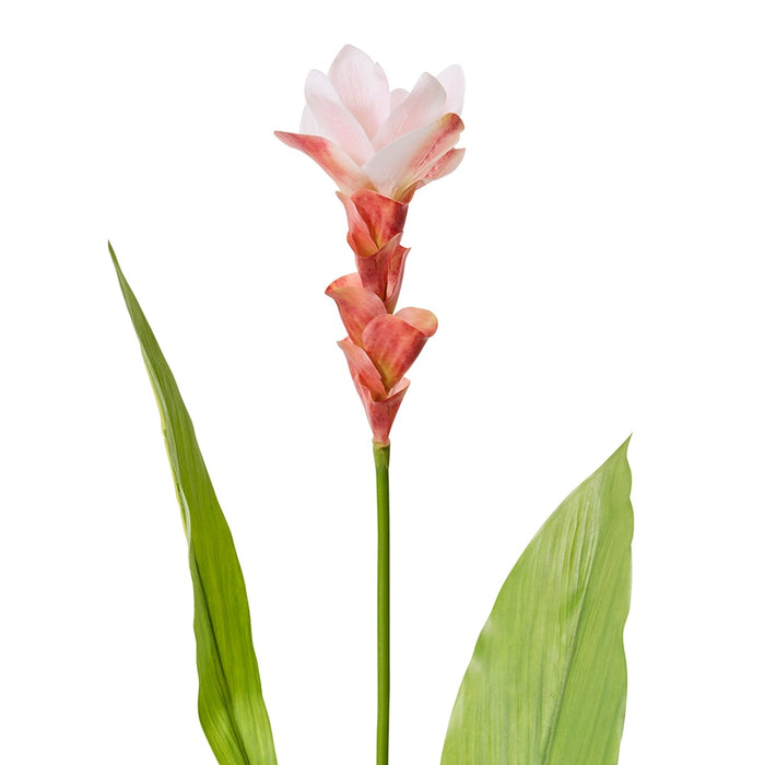 Ginger Flower Spray Pack of 12 - Pink, 84cm (H)