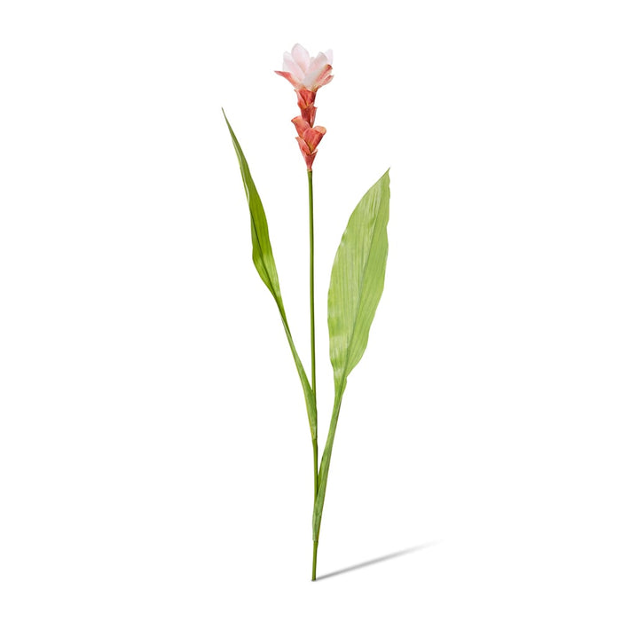 Ginger Flower Spray Pack of 12 - Pink, 84cm (H)