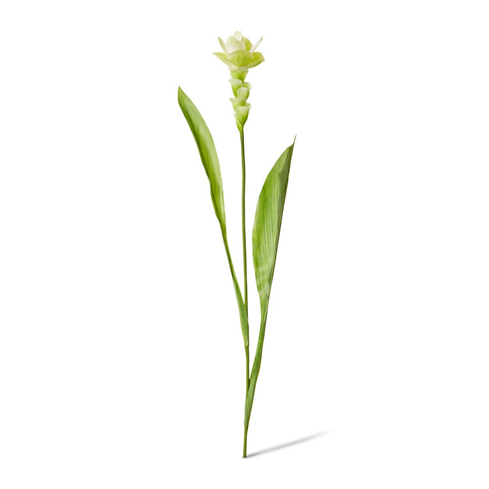 Ginger Flower Spray Pack of 12 - White/Green, 84cm (H)