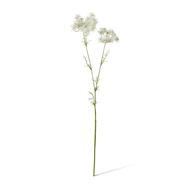 Queen Anne Lace Spray Pack Of 12 - White, 67cm (H)