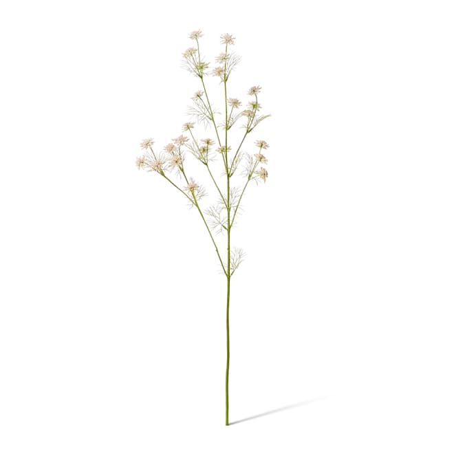 Queen Anne Lace Wild Spray Pack Of 12 - Soft Pink, 76cm (H)