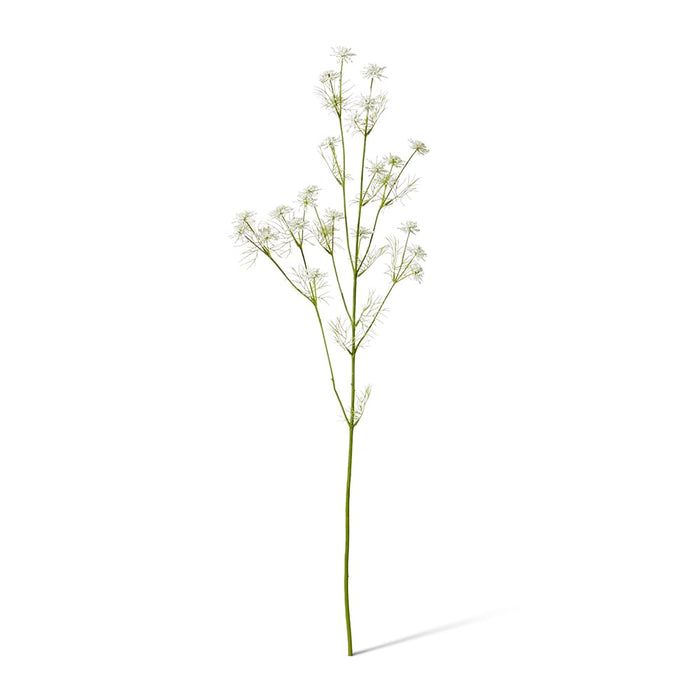 Queen Anne Lace Wild Spray Pack of 12 - White, 76cm (H)