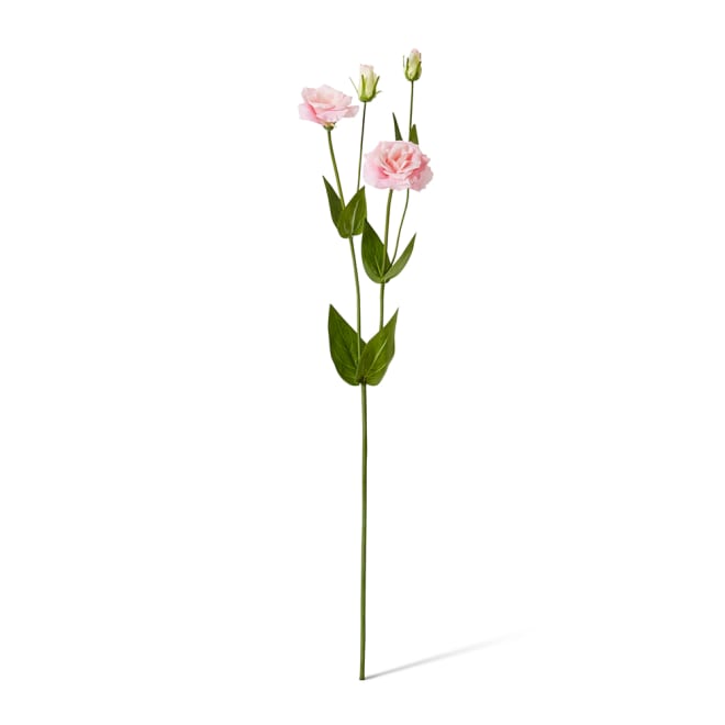 Lisianthus Spray Pack Of 12 - Pink, 67cm (H)