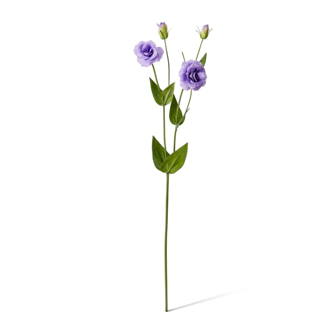 Lisianthus Spray Pack Of 12 - Purple, 67cm (H)