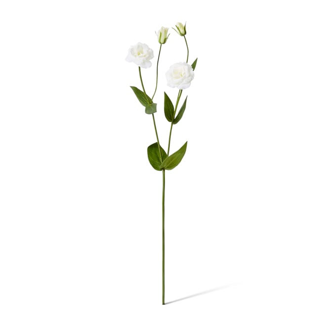 Lisianthus Spray Pack Of 12 - White, 67cm (H)