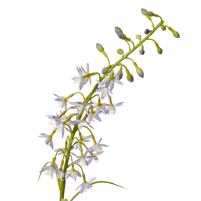 Delphinium Mini Stem Pack Of 12 - Purple, 70cm (H)