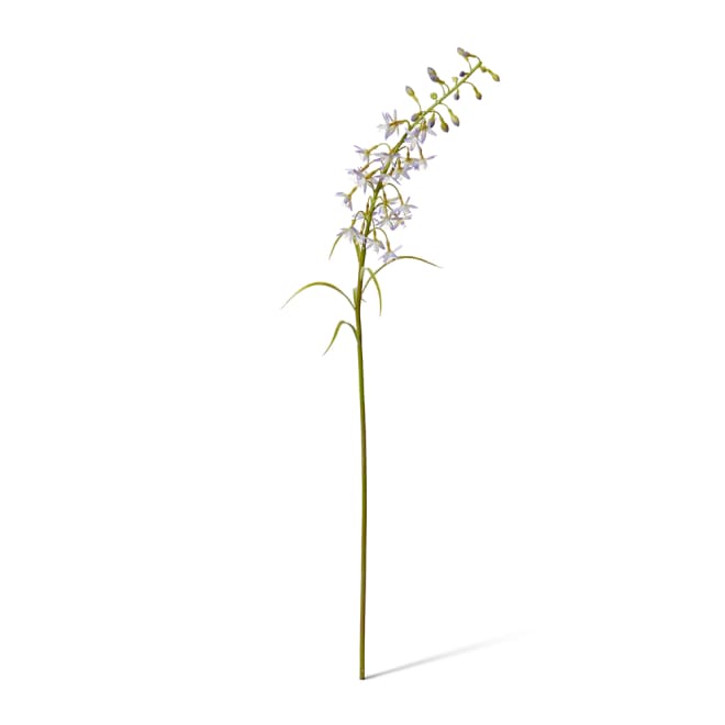 Delphinium Mini Stem Pack Of 12 - Purple, 70cm (H)