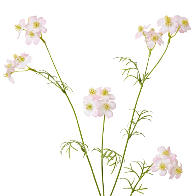 Wild Flower Spray Pack Of 12 - Pink, 69cm (H)