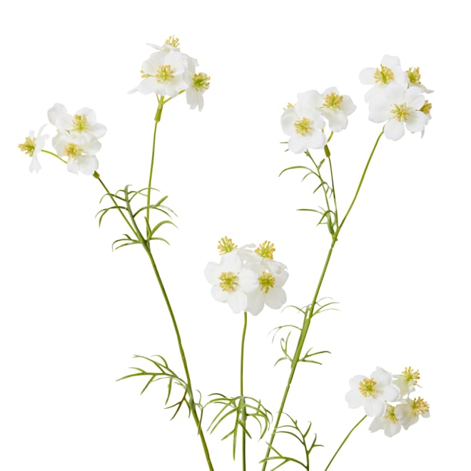 Wild Flower Spray Pack Of 12 - White, 69cm (H)