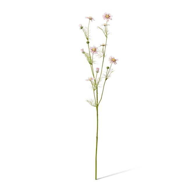Cosmos Spray Pack Of 12 - Pink, 63cm (H)