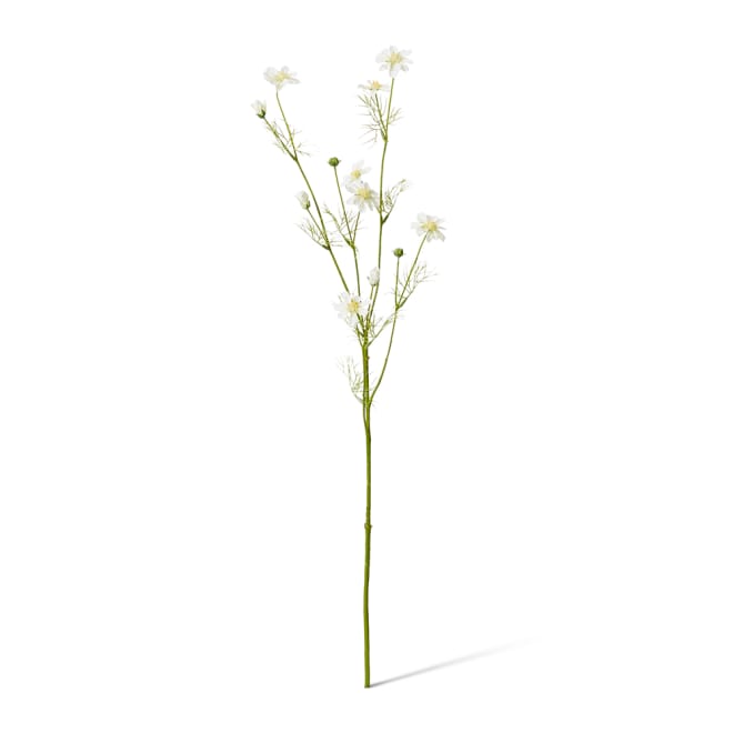 Cosmos Spray Pack Of 12 - White, 63cm (H)