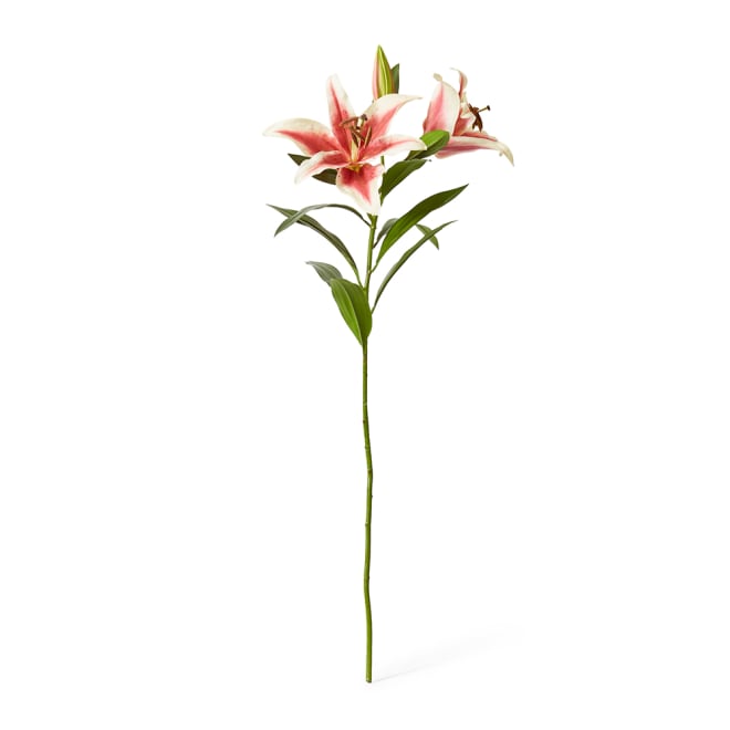 Lily Tiger Spray Pack Of 6 - Dark Pink, 95cm (H)