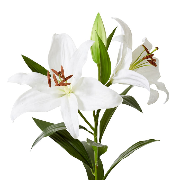 Lily Tiger Spray Pack of 6 - White, 95cm (H)