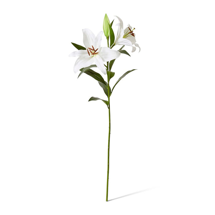 Lily Tiger Spray Pack of 6 - White, 95cm (H)